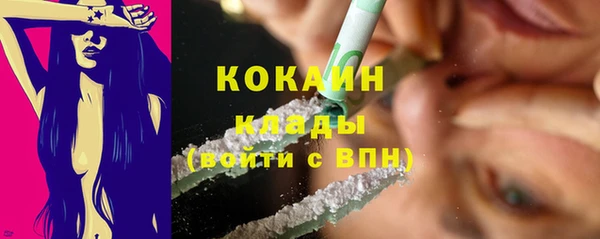 прущие крисы Аркадак