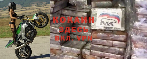 стаф Армянск