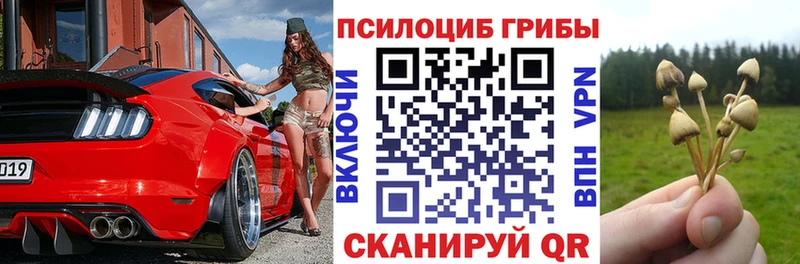 Галлюциногенные грибы Cubensis  дарнет шоп  Нягань 